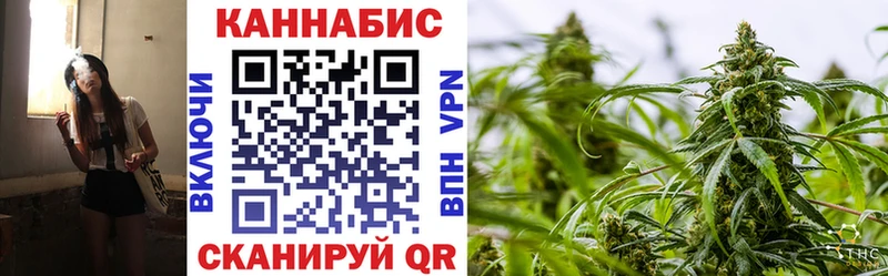 как найти Пласт Каннабис планчик
